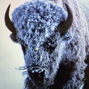 Meet your Posher, Jesse